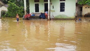 Data BNPB Menunjukkan Banjir di Aceh Jaya dan Aceh Barat Daya Mulai Surut