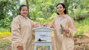 Tak Sia-sia, Dukungan BRI Membuat UMKM Madu Tembus Pasar Global