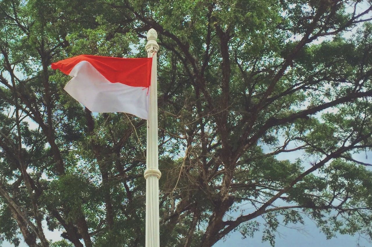 Penyerahan Kedaulatan Indonesia Dilaksanakan Setelah Berlangsung – Meteor