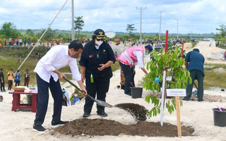 Kalau Pemerintah Semangat Menghijaukan Hutan, Kok Bisa Meneken UU Ciptaker yang Disebut Melegitimasi Eksploitasi Hutan?