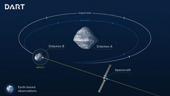 Pour Sauver La Terre, La NASA Va écraser Un Vaisseau Spatial Sur Un Astéroïde 