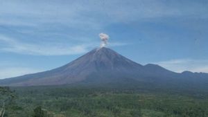 Aktivitas Gunung Semeru Masih Didominasi Gempa dan Letusan