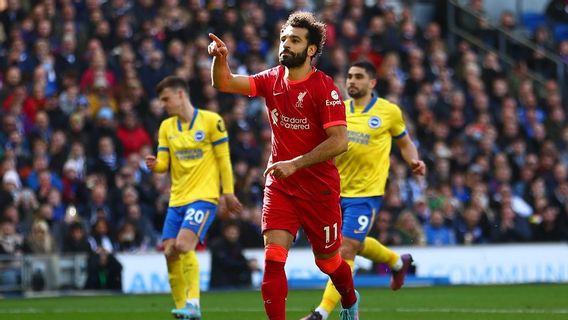 BBC Shamefully Made A Blunder In The Chelsea Vs Liverpool Match: Highlight The Banner Of Mohamed Salah Picture With Background Of Camels Having Sex