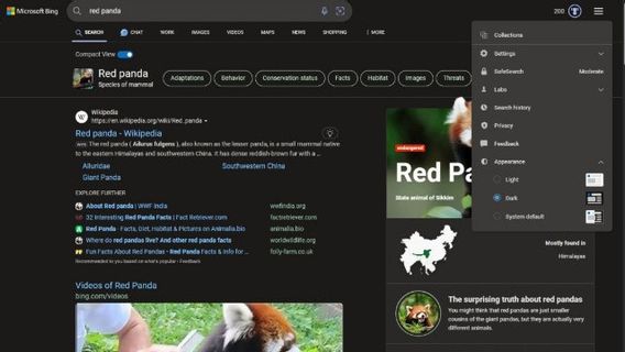 Microsoft Officially Launches Dark Mode For Bing Search And Chat, Here's How To Activate It!