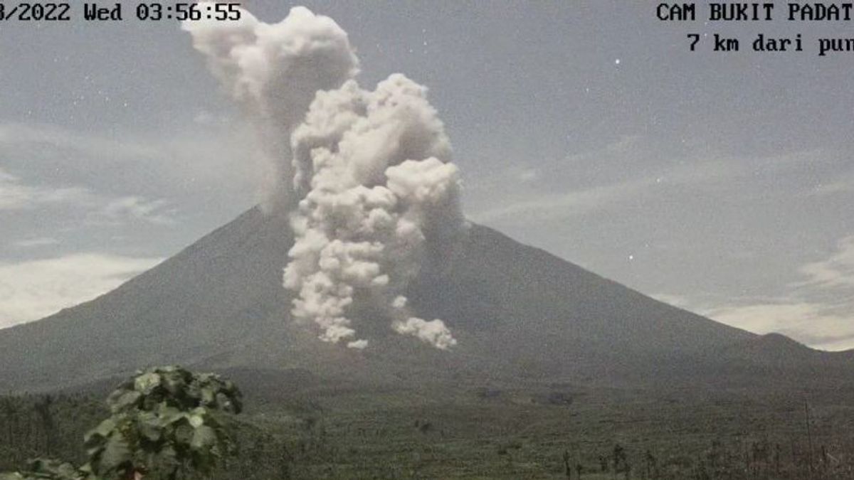 Gunung Semeru Luncurkan Awan Panas ke Tenggara Sejauh 4 Km