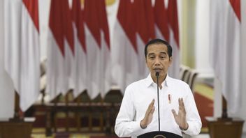 Regarding Vale's Investment Issues Up To 51 Percent, Jokowi Says This
