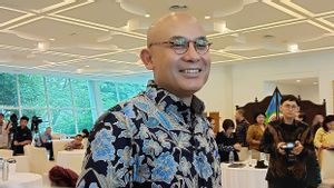 Wamenlu RI Arrmanatha Nasir Apresiasi Rencana Investasi Vinfast di Indonesia