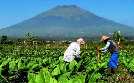 Petani Tembakau Desak Kemenkes Cabut Rancangan Permenkes Kemasan Rokok Polos Tanpa Merek