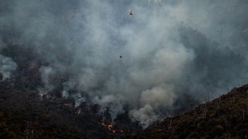 Russia Faces Hundreds Of Forest Fires, 5,000 Officers Deployed