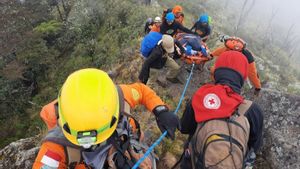 Evakuasi Pendaki yang Jatuh di Jurang Gunung Lompobattang oleh Tim SAR Berhasil