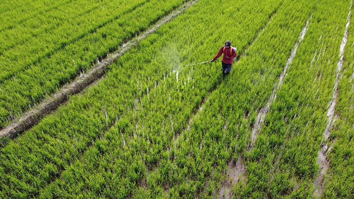 Observateur : Les NTT doivent se servir d'un défenseur alimentaire