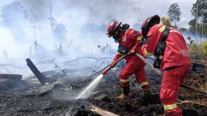 Kemenhut Intensif Padamkan Kebakaran Hutan di Wilayah Kalbar