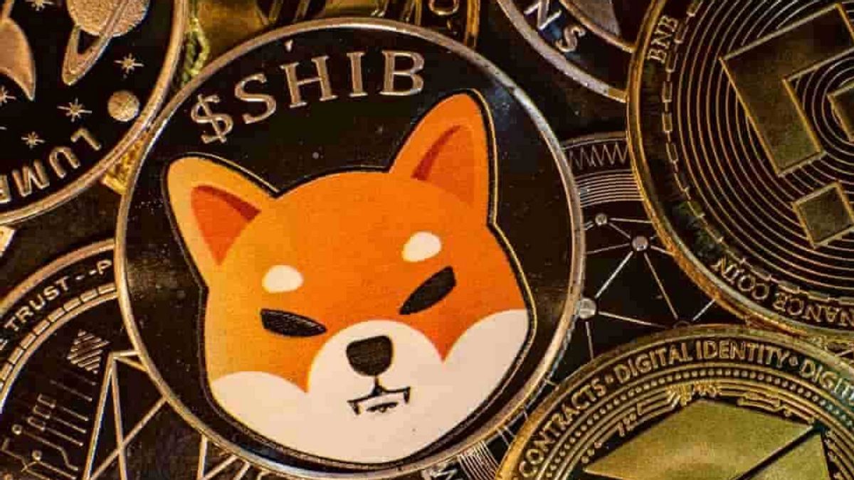 Shiba Inu Meme Coin Developer Ready To Release Shibarium Mainnet