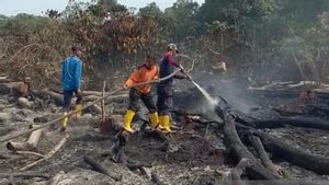 Suhu Daratan di Aceh Panas, BMKG Ingatkan Sekecil Apa pun Api Bisa jadi Bencana