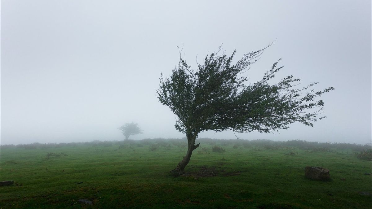 BMKG Winning Tropical Cyclone Freddy, Which Triggers Extreme Rain In Indonesia, Is Starting To Stay Away