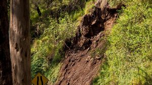 12 Meter Long Landslides Close Roads In South OKU, BPBD Deploys 1 Heavy Equipment
