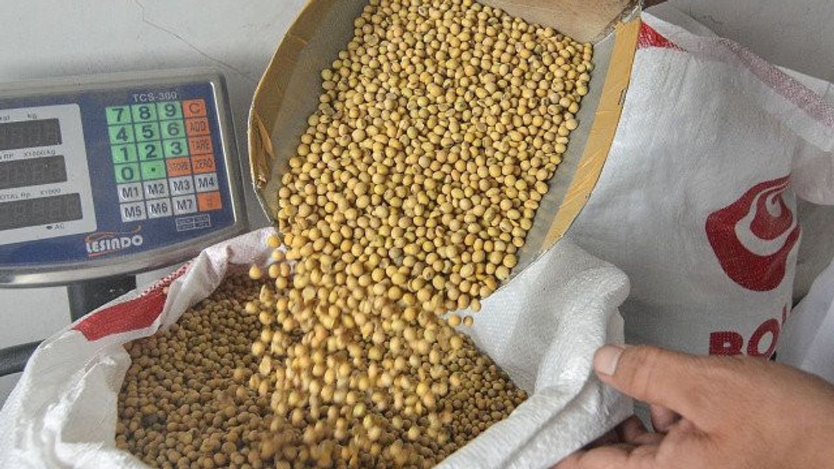 Stabilizing Domestic Soybean Prices, Observer Suggests Indonesia To Import From Brazil And Argentina