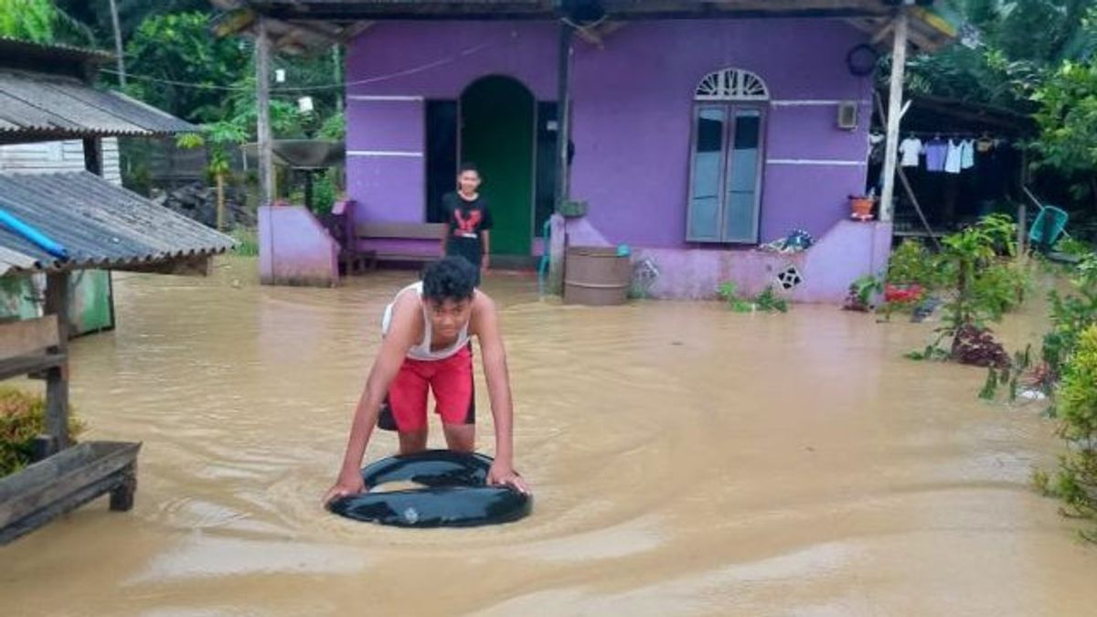 Penajam Paser Utara Kebanjiran!