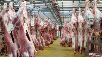  60 Ton Daging Sapi Berpotensi Terkontaminasi Bakteri E. Coli Langka, Badan Pengawas Obat dan Makanan Keluarkan Peringatan