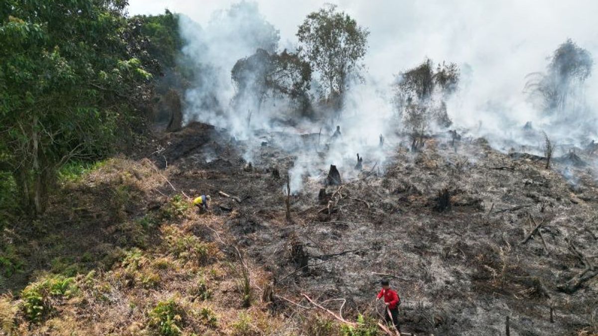 Police Threaten 15 Years In Prison Perpetrators Of Forest And Land Fires In South Sumatra