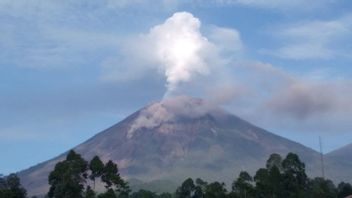 塞梅鲁火山释放喷发和瀑布，观察哨官员：视觉上可见