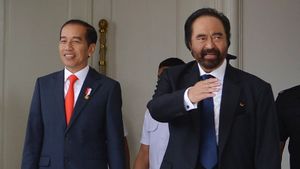 Istana Membenarkan Presiden Jokowi Bertemu Surya Paloh