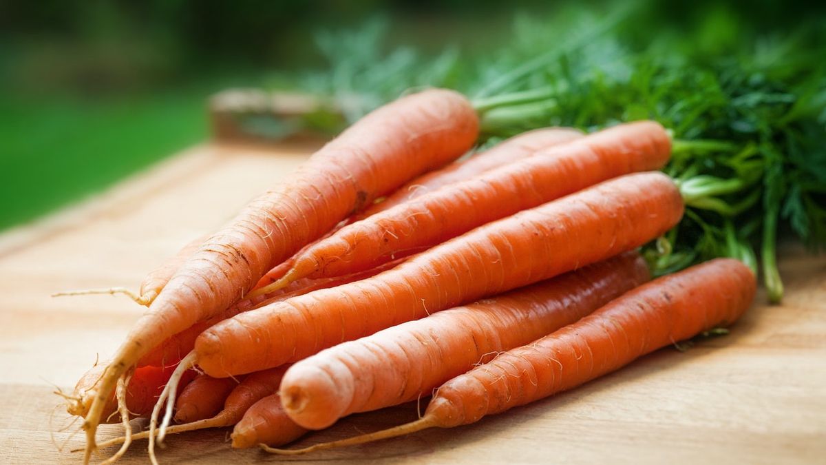 Benefits of Eating Raw Carrots for Body Health, What are they?