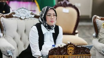 The News Of The Sue For Divorce By Dedi Mulyadi Viral, Purwakarta Regent Anne Ratna Sorry