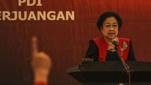 Mengenang Jatuh-Bangun Partai, Megawati Sebut PDIP Pernah Disebut Partai Sandal Jepit dan Partai Gurem