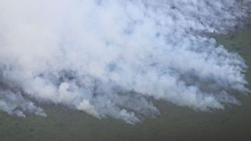 Menhut Alasan Panas Ekstrem Faktor Utama Karhutla Menerjang Riau