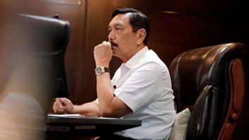 Luhut Denies Being Hit By Prank Tesla: I Have Never Talked About Car Factories