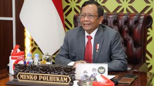 Terkait Pasal Penghinaan Presiden, Mahfud MD Ungkapkan Pengalaman Presiden Jokowi yang Kerap Dihina