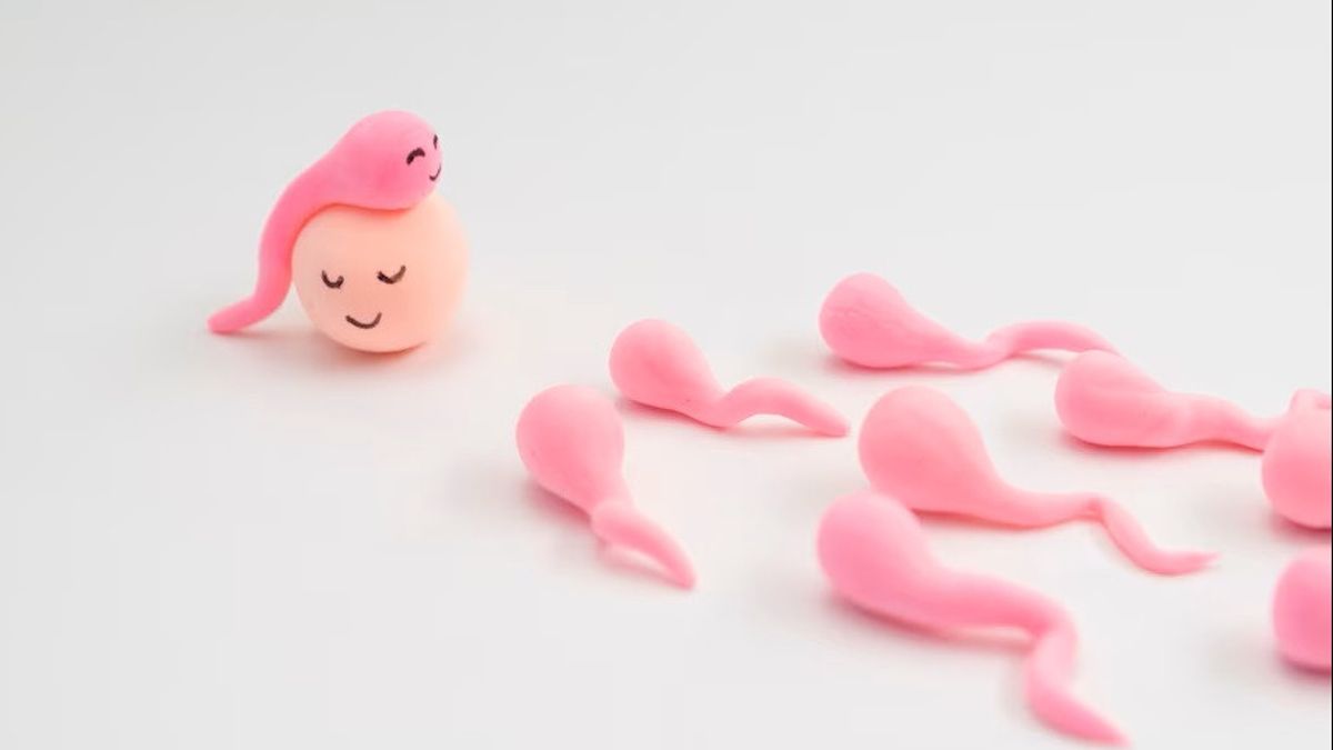 4 Ways to Find Out a Woman's Fertile Period After Menstruation