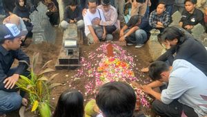 Anggota Komisi X DPR Minta Kematian Mahasiswa di Demo Yogyakarta Diusut Tuntas: Jangan Ada Lagi Korban