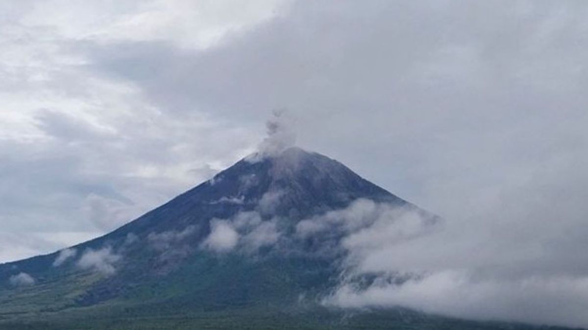 Gunung Semeru Kembali Erupsi, Kolom Abu Capai 1 Kilometer di Atas Puncak