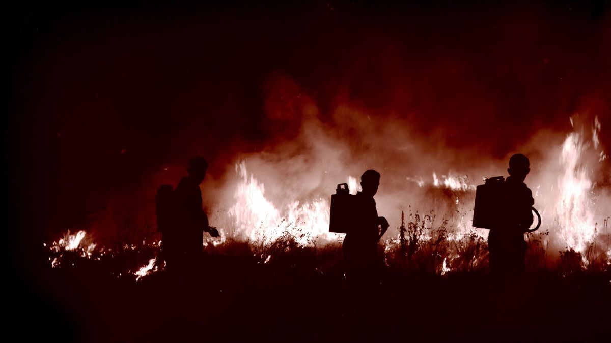 ギリシャの森林火災：爆発物貯蔵キャンプに近づく火災
