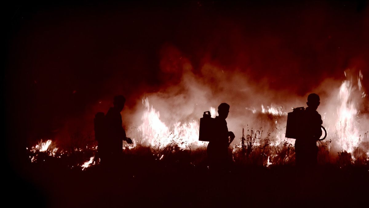 Greek Forest Fires: Fire Approaching Explosive Storage Camp