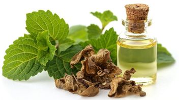 7 فوائد زيت النيلام التي كشفت عنها الأبحاث ، من مضادات الالتهابات إلى طاردات الحشرات