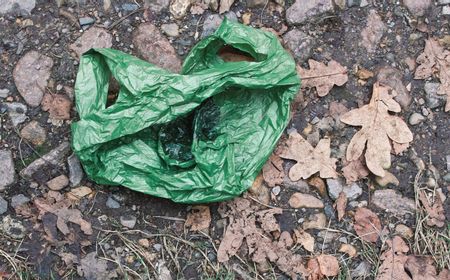 Yogyakarta Minta Takmir Masjid Kurangi Plastik untuk Bungkus Daging Kurban