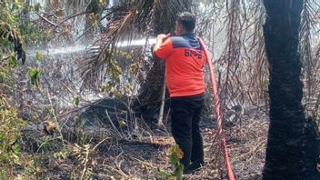 लंगसा अचेह में जंगल और पाम तेल की जमीन में आग बुझाने के लिए बर्बर अधिकारी