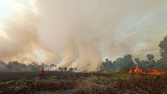 BPBD Ogan Ilir; Tim Gabungan Berhasil Memadamkan Kebakaran 29 Ha Lahan Rawa dan Sawit di Ogan Ilir