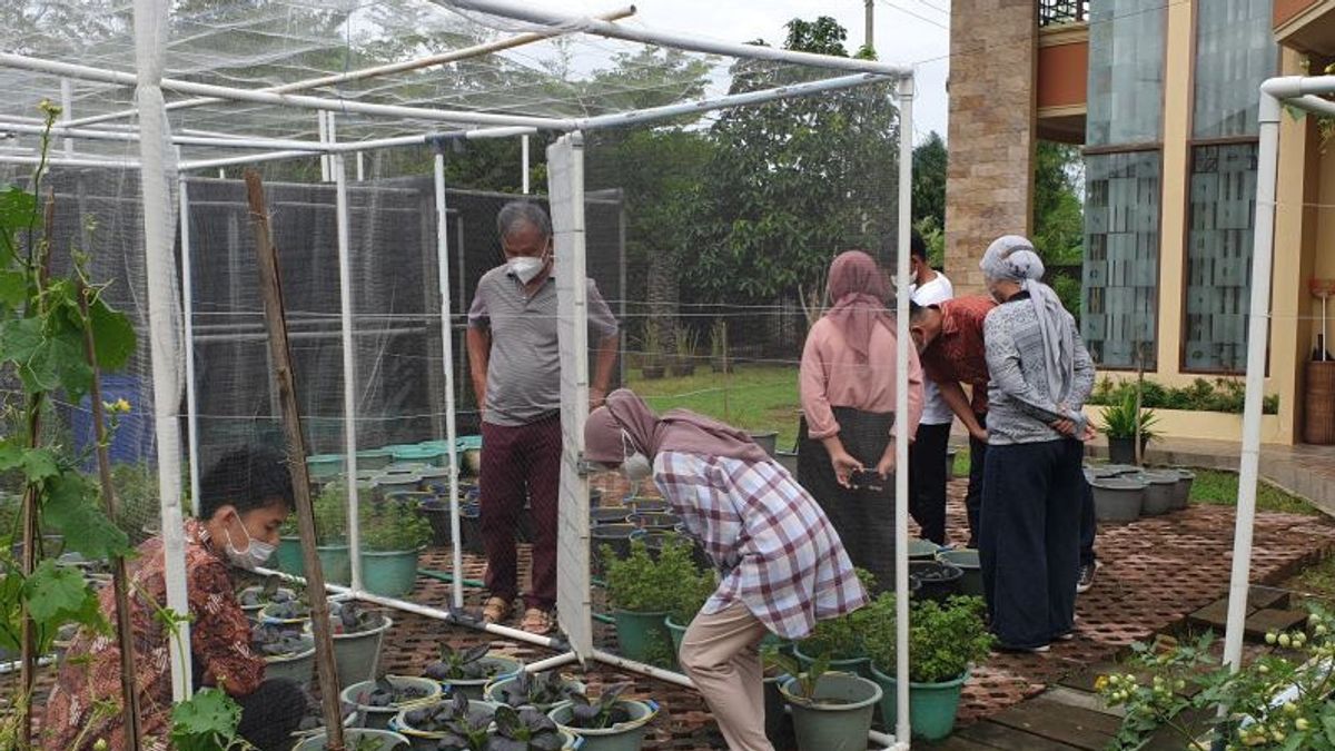 Food Independent Program, South Sumatra Deputy Governor Invites Residents To Use Home Land For Farming