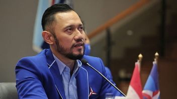 Kader Partai Demokrat Kaltim Ramai-ramai Keluar, Sindiran Keras Chusnul untuk AHY: Baru Ngurus Partai Aja Begini, Mimpi Mau Urus Negara