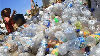 微塑料生产和使用活动被认为有可能破坏环境