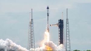 Larangan Terbang Resmi Dicabut, Falcon 9 Bisa Digunakan Kembali