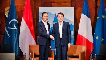 Jokowi Discusses Peaceful Settlement Of Ukraine With French President Emmanuel Macron
