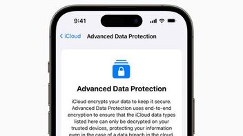 2TB Data Lost Because Of Stolen IPhone, Apple Sued Massively!