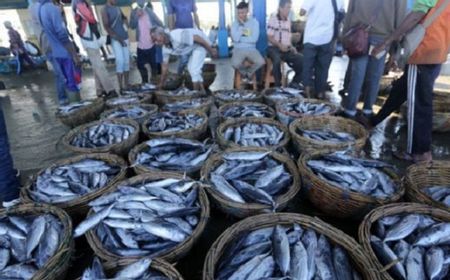 PT Perikanan Indonesia Siap Sedia Penuhi Kebutuhan Ikan Jelang Lebaran