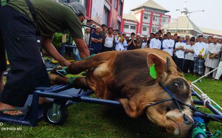 Menkumham Yasonna Laoly Potong Sapi Kurban di Rutan Salemba