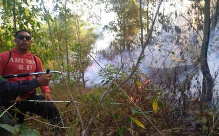 Kebakaran Lahan dan Semak Gunung Batur, Bangli Telah Berhasil Dipadamkan